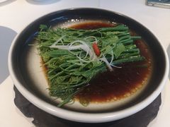 丝瓜尖-松鹤楼·非遗·苏帮菜(融科店)