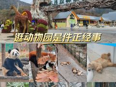 -大连森林动物园