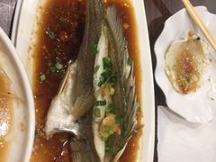 清蒸黄翅鱼-全渔村小海鲜