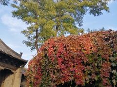 -榆次老城
