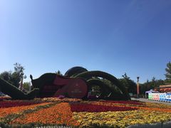 -大兴滨河森林公园