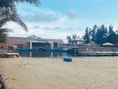 -广东惠东海龟国家级自然保护区