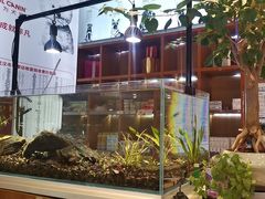 -可蒙动物医院·猫科·骨科中心(首义路店)