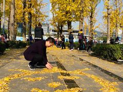 -两江幸福广场