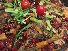 -老板恋上鱼(恒隆广场店)