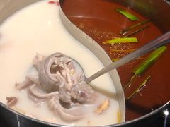 -捞王猪肚鸡火锅(财富中心店)