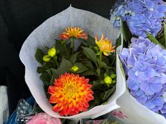 -双季花艺园艺市场(浦东店)