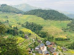 -紫鹊界梯田景区