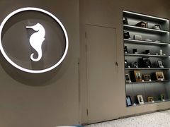 -海马体照相馆(大连罗斯福广场店)