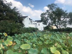 -田园东方蜜桃村的田野营地