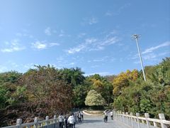 -深圳国际园林花卉博览园