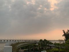 -宝安西湾红树林湿地公园