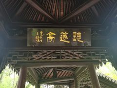 -上海佘山国家森林公园天马山园