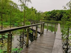-昆山城市生态森林公园