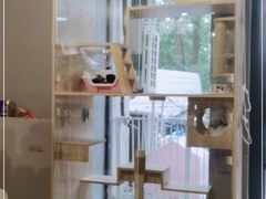 -熊小胖宠物生活馆(天华园店)