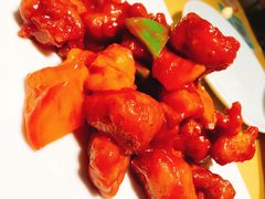 -素虎小呆鸟(西二旗店)