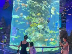 -芜湖新华联大白鲸海洋公园