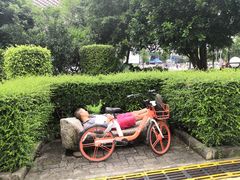 -南山图书馆(常兴路店)