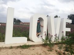 -北纬44度·金珠花海休闲农业旅游景区