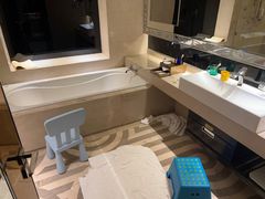 -上海闵行星河湾酒店