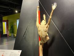 -生命奥秘博物馆