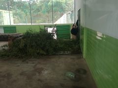 -石家庄市动物园