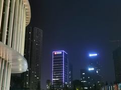 -重庆市江北嘴中央商务区中央公园