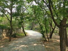 -北京鹫峰国家森林公园