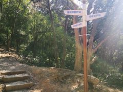 -广州市帽峰山景区