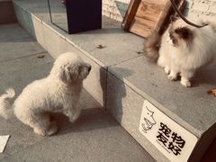 -小意思咖啡店(草桥店)