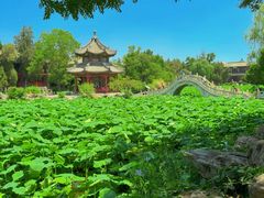 -莲池书院博物馆