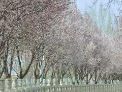 -汉长安城未央宫国家考古遗址公园