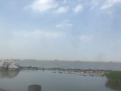 -吴淞炮台湾湿地森林公园烧烤区