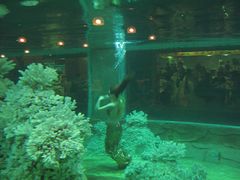 -肇庆奥威斯酒店