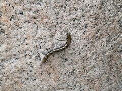 -碓臼峪自然风景区