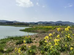 -深业半汤御泉庄温泉