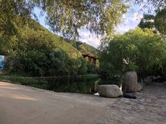 -天源渔港农庄