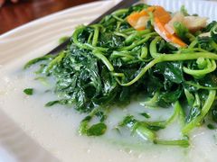 上汤辣椒叶-渔民新村(番禺总店)