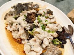 -骏丰酒楼(黄编店)
