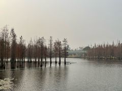 -白鹭湾湿地公园