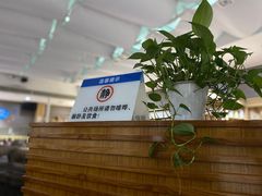 -福田区文化馆(景田东一街)