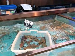 -中国舟山国际水产城