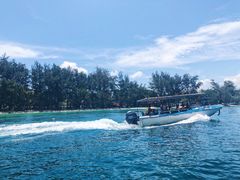 -东姑阿都拉曼海洋公园