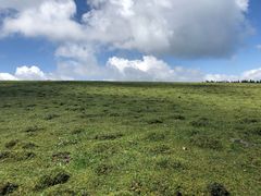-芦芽山旅游度假区