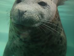 -嘉兴海底世界