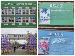 -江苏三台山国家森林公园