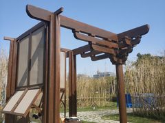 -上海山野camping·户外天幕烧烤·团建拓展营地