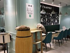 -安格丽娜·狗咖·猫咖羊驼咖(春熙路百盛商场店)