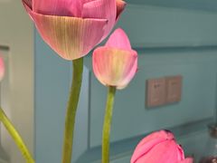 -南堂馆·新川菜(春熙路店)