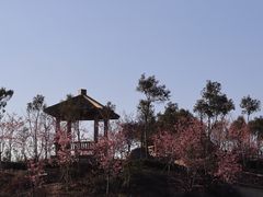 -军营村